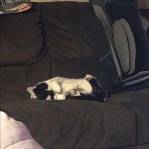 Meet your Posher, Mark